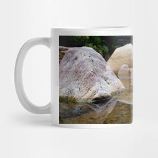 eli reflections Mug